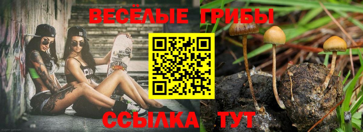 Галлюциногенные грибы ЛСД  Псилоцибиновые грибы мухоморы  Вход с VPN  Назарово 
