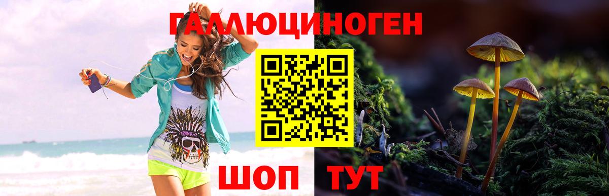 Галлюциногенные грибы мухоморы Назарово